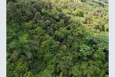 Pr 7718 Km 3.6 Pasto Ward, Aibonito, PR 00705 - Photo 8