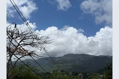 Bo Jimenez Carr 966, Rio Grande, PR 00745 - Photo 2