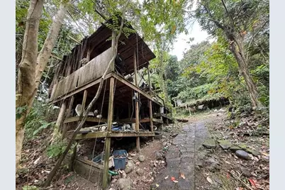 Bo Jimenez Carr 966, Rio Grande, PR 00745 - Photo 4