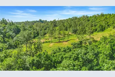 63 Sector Monticello, Cidra, PR 00739 - Photo 10