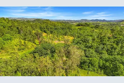 63 Sector Monticello, Cidra, PR 00739 - Photo 16