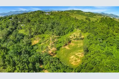 63 Sector Monticello, Cidra, PR 00739 - Photo 18