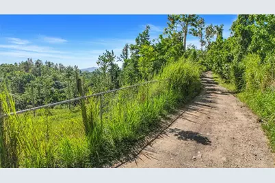 63 Sector Monticello, Cidra, PR 00739 - Photo 28