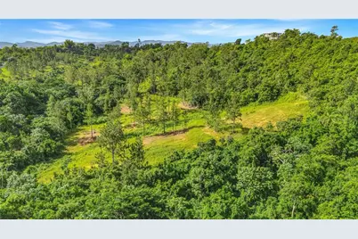 63 Sector Monticello, Cidra, PR 00739 - Photo 26