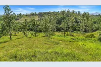 63 Sector Monticello, Cidra, PR 00739 - Photo 24