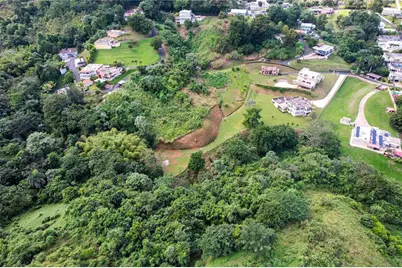 Pr 568 Km 28.5 Sector El Limon Padilla, Corozal, PR 00783 - Photo 6