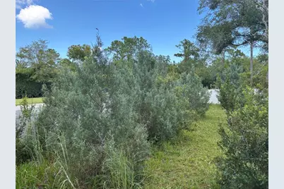 213 Riverbend Road, Ormond Beach, FL 32174 - Photo 84
