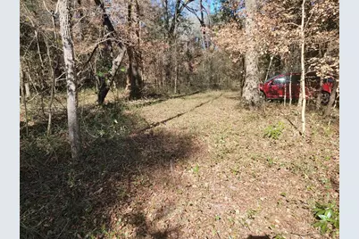 Sw Newark Drive, Fort White, FL 32038 - Photo 6