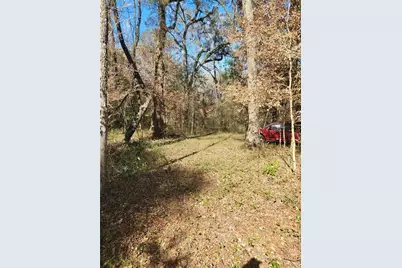 Sw Newark Drive, Fort White, FL 32038 - Photo 8