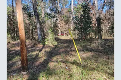 Sw Newark Drive, Fort White, FL 32038 - Photo 6