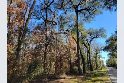 Sw Newark Drive, Fort White, FL 32038 - Photo 4