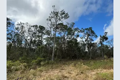 143rd Drive, O'Brien, FL 32071 - Photo 2