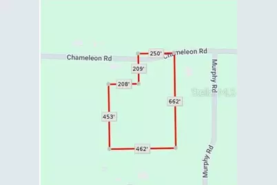 Chameleon Road, Pierson, FL 32180 - Photo 6