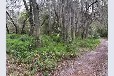 Chameleon Road, Pierson, FL 32180 - Photo 2