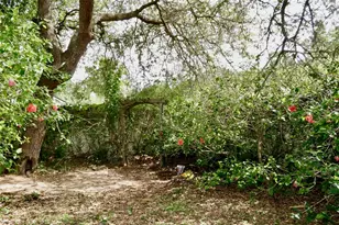 8044 Rural Retreat Ct, Orlando, FL 32819 - Photo 20