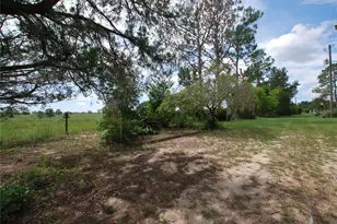 35807 Nova Ln, Eustis, FL 32736 - Photo 40