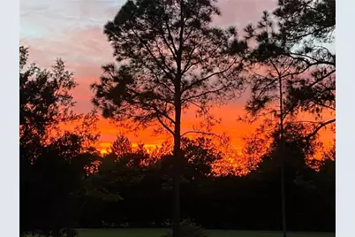 35807 Nova Lane, Eustis, FL 32736 - Photo 48