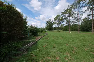 35807 Nova Ln, Eustis, FL 32736 - Photo 24