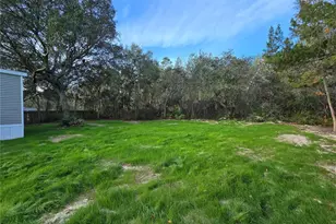 43535 Dixie Dr, Paisley, FL 32767 - Photo 10