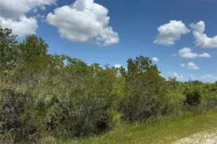 Sarasota Dr, Indian Lake Estates, FL 33855 - Photo 1