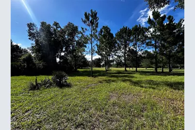 15401 Co Rd 450, Umatilla, FL 32784 - Photo 22