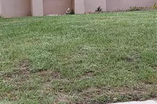 875 High Point Circle, Minneola, FL 34715 - Photo 4