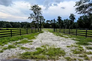Peterson Rd, Pierson, FL 32180 - Photo 1