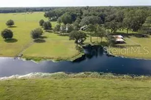 504 Raulerson Rd, Seville, FL 32190 - Photo 4