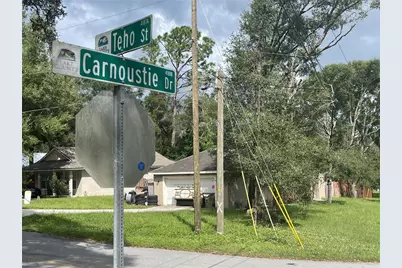 30920 Teho Street, Sorrento, FL 32776 - Photo 6