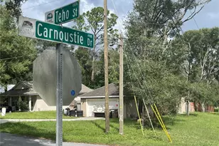 30920 Teho St, Sorrento, FL 32776 - Photo 6