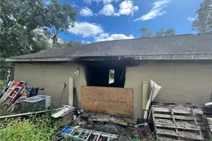 30920 Teho St, Sorrento, FL 32776 - Photo 4