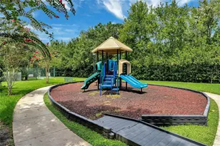 233 Goldenrain Dr, Celebration, FL 34747 - Photo 26