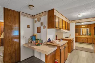 7008 County Line Rd, Mulberry, FL 33860 - Photo 30