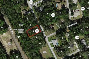 10676 N Athenia Dr, Citrus Springs, FL 34434 - Photo 1