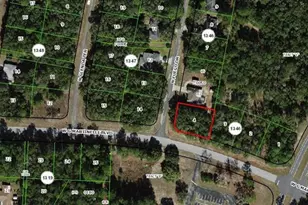 11007 N Fuego Dr, Citrus Springs, FL 34434 - Photo 1