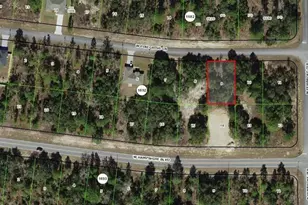 2262 W Pinegrove Dr, Dunnellon, FL 34434 - Photo 1