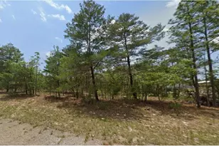 6320 N Chestnut Terrace, Dunnellon, FL 34433 - Photo 1