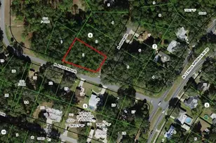 10141 N Academy Dr, Citrus Springs, FL 34434 - Photo 1