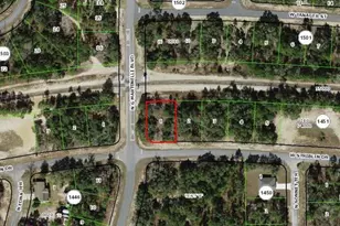 11241 N G Martinelli Blvd, Citrus Springs, FL 34433 - Photo 1