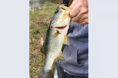 27343 Roanoke Drive, Leesburg, FL 34748 - Photo 50