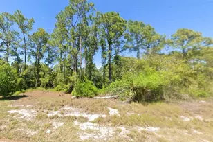 348 Gleaming Ave, Lake Placid, FL 33852 - Photo 1