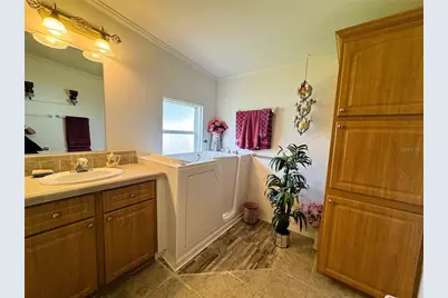 107 Hibiscus Way, Leesburg, FL 34748 - Photo 50