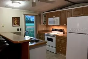 25624 Madison St, Astatula, FL 34705 - Photo 10