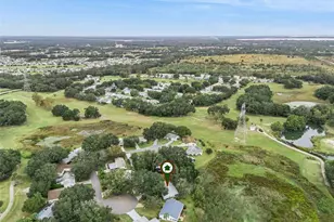 25720 Belle Alliance, Leesburg, FL 34748 - Photo 24