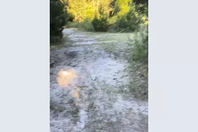 Tbd NW 27th Place, Chiefland, FL 32626 - Photo 12