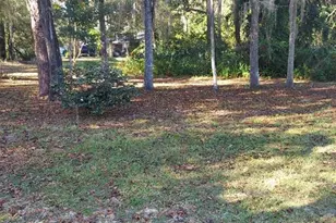 251 N Blue Lake Ave, Deland, FL 32724 - Photo 46