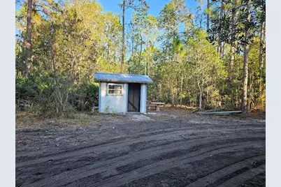 804 Shell Harbor Road, Pierson, FL 32180 - Photo 12