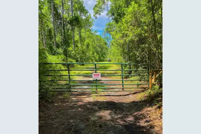 804 Shell Harbor Road, Pierson, FL 32180 - Photo 2