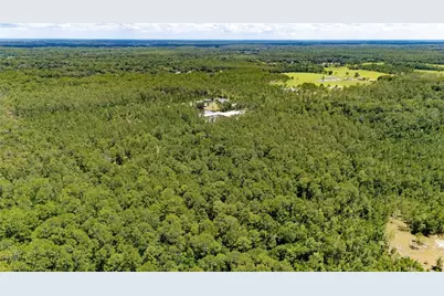 804 Shell Harbor Road, Pierson, FL 32180 - Photo 28