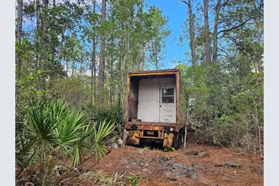 804 Shell Harbor Road, Pierson, FL 32180 - Photo 28